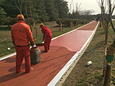 ������ɫ·��ʩ��|������ɫ·��ʩ��|���˲�ɫ·��ʩ��|�����д�ͨ��·������